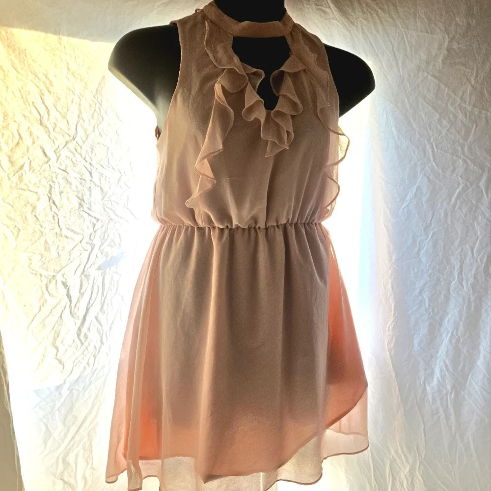 Pretty Blush Pink Ruffle Dress EUC - Picture 10 of 12